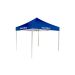 Tent w/roof